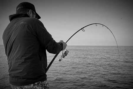Howk Middle Action Rods