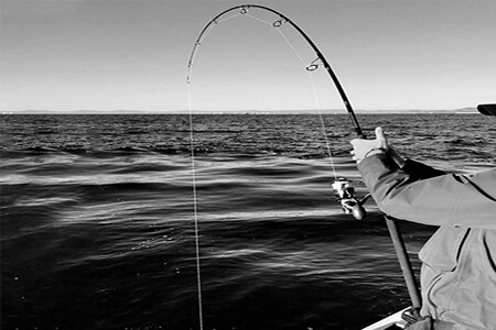 Howk Fast Action Rods