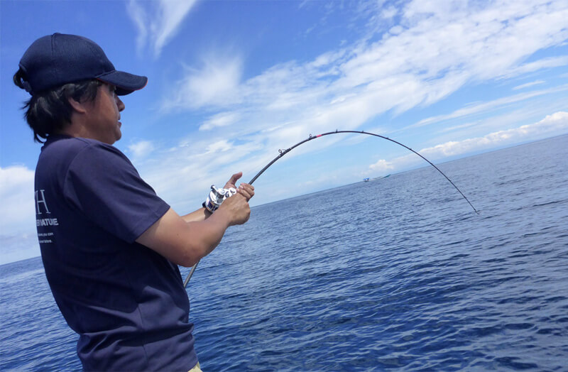 Maxel Risk Player Rods