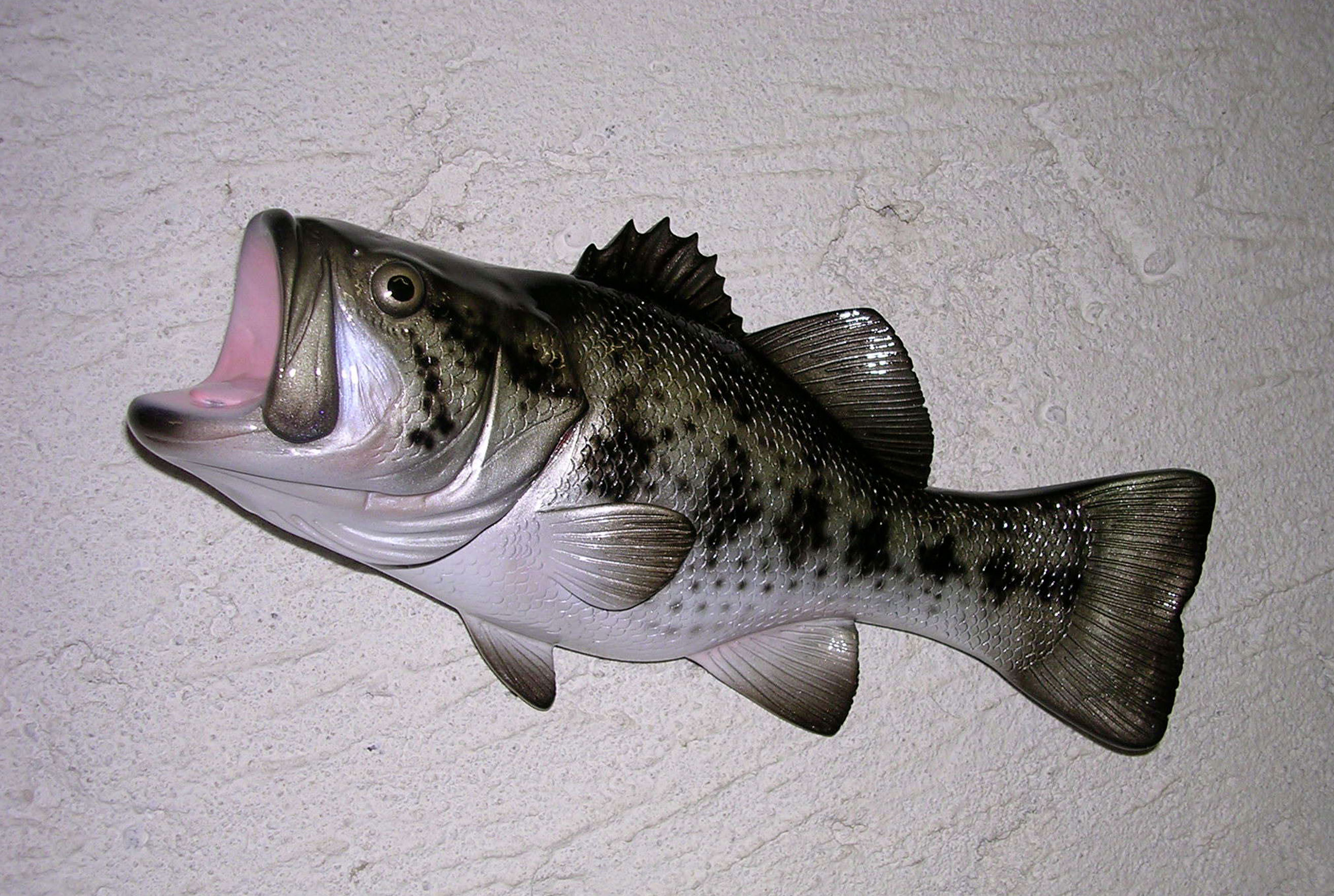 sculpture black bass decoration cap vert
