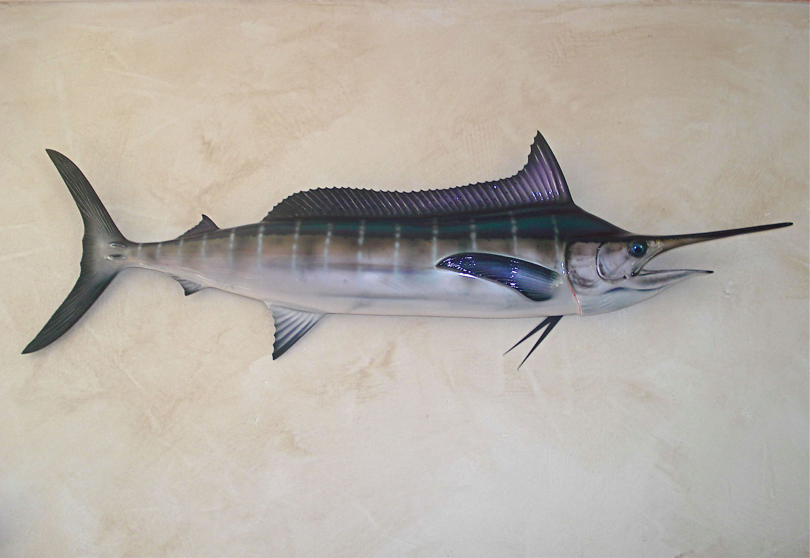 marlin bleu decoration cap vert