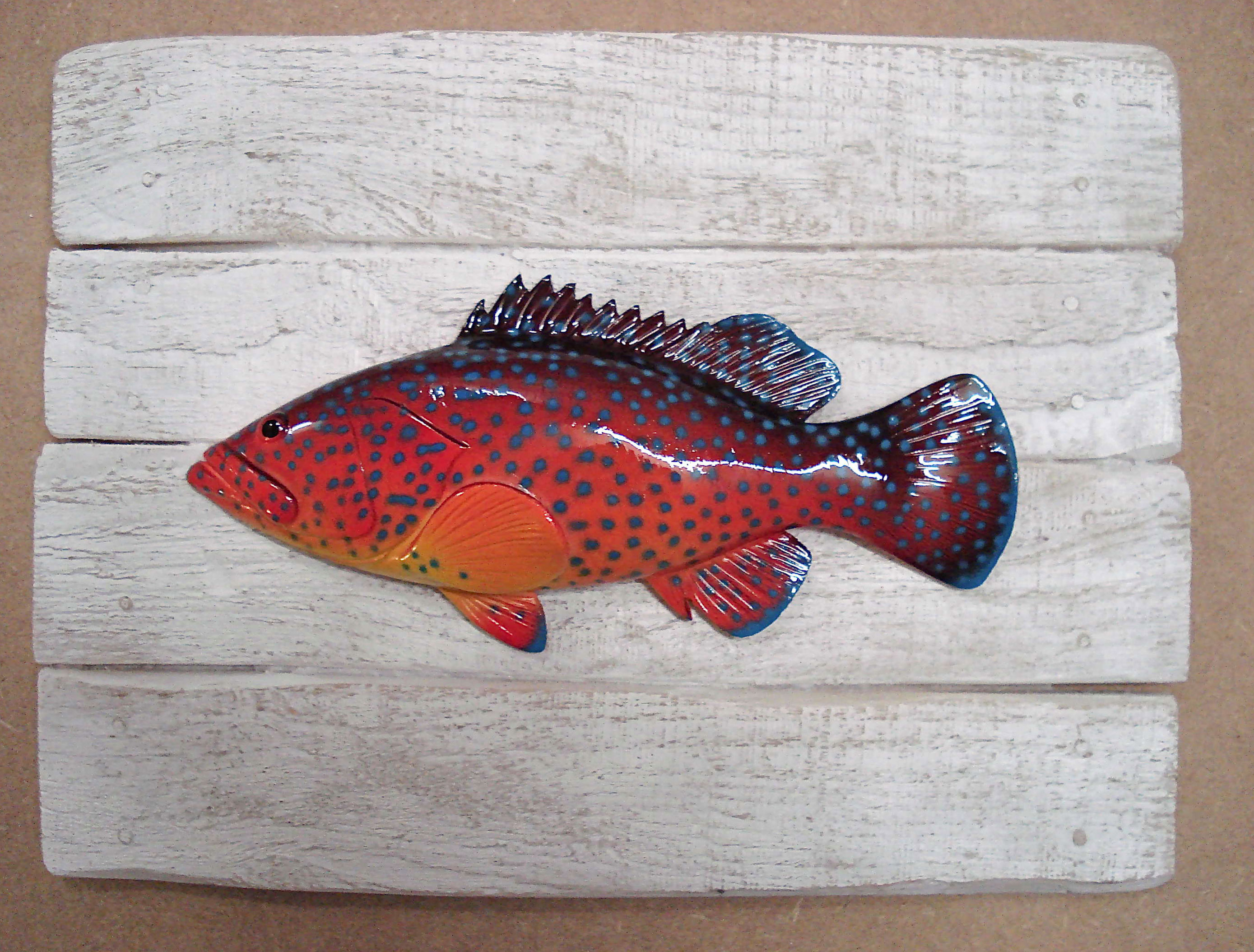 merou de corail decoration cap vert