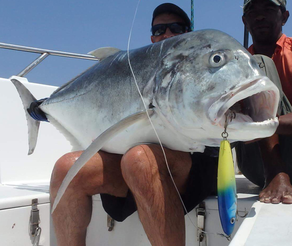 Allure 22cm-230gr Lure