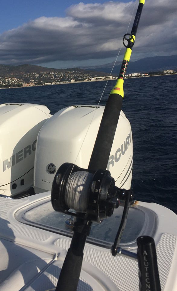Alutecnos Gorilla 20V Rod