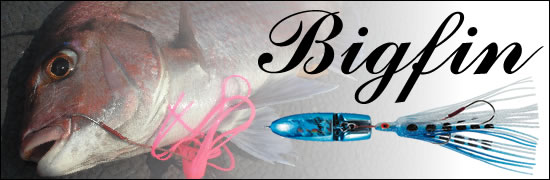 Bigfin Lure