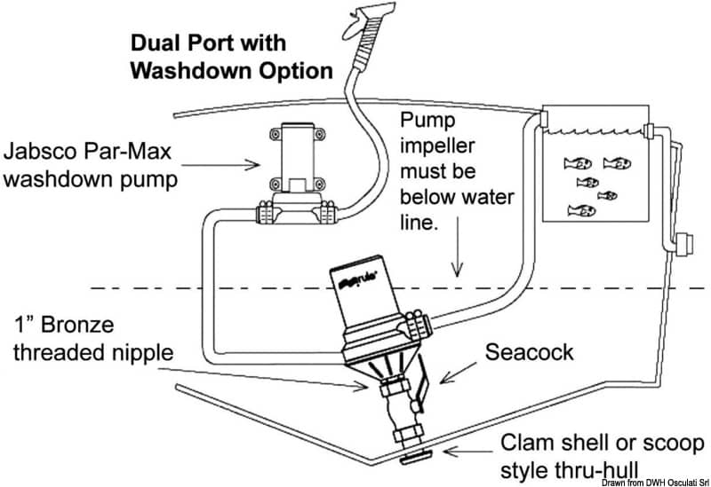 Pompe centrifuge Rule Dual Port