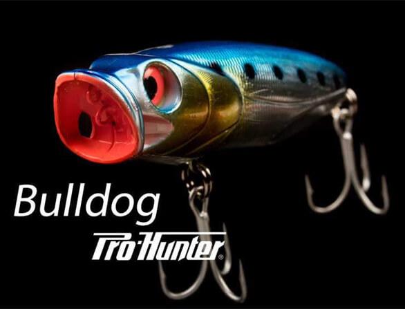Pro-Hunter Bulldog
