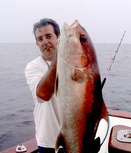 Varivas Big One Jigging
