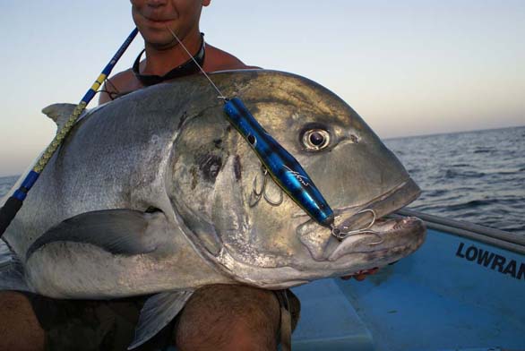 Heru Skipjack 120 poppers