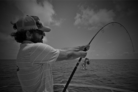 Howk Middle Action Rods