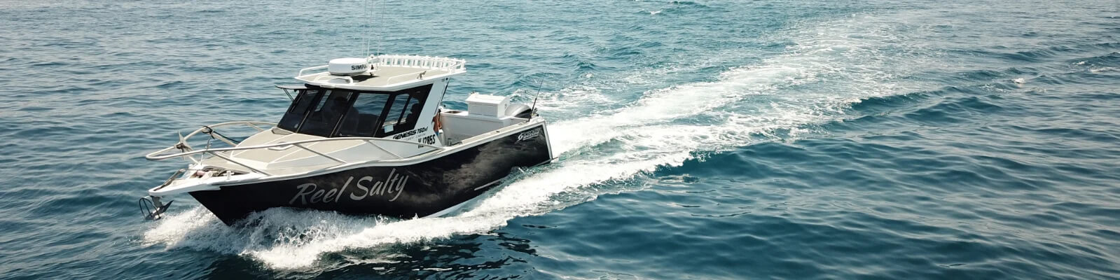 Simrad Radar Halo20+ A VOTRE DISPOSITION